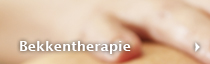 Bekkentherapie